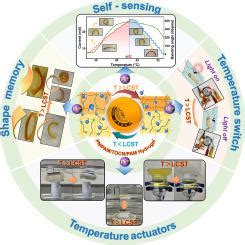 Nanocellulose Mediated Bilayer Hydrogel Actuators With Thermo