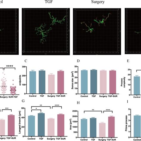 TGF β1 mitigated changes in microglial morphology and reduced microglia