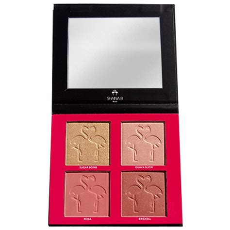 Shaina B. Miami Blush and Highlight Mini Palette - 6.5 Inch | Shop Now
