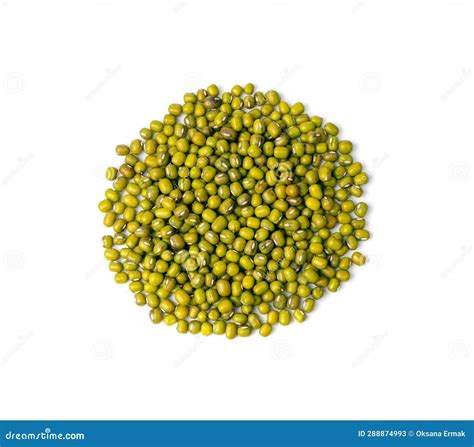 Dry Raw Mung Beans Vigna Radiata Seeds Green Gram Maash Or Moong