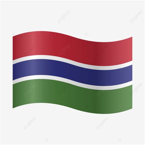 Vector Realistic Illustration Of Gambia Flags Gambia Flag Gambia