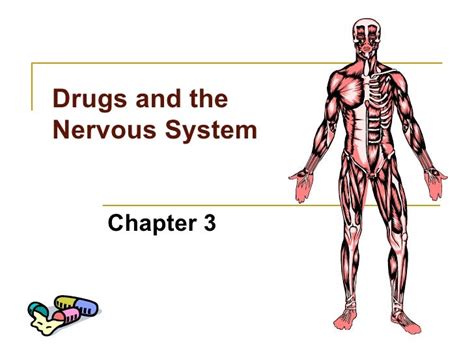 Chapter 3 Drugs And The Nervous System