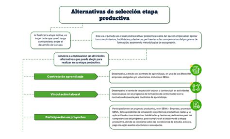 Cuadro Sin Ptico Alternativas De Selecci N Etapa Productiva Al