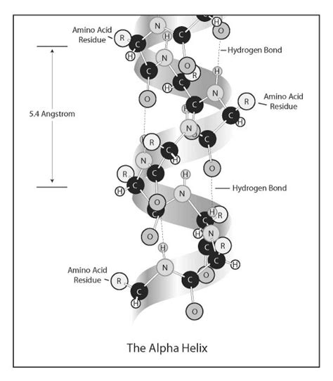 The Marvelous Helix From Dna To Astrophysical Jets Huffpost