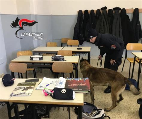 Terni Nelle Scuole Superiori E Nei Parchi Arrivano I Cani Antidroga