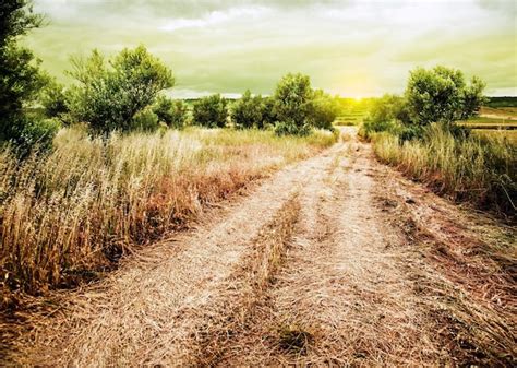 Paisaje De Caminos Rurales Puesta De Sol Paisaje Rural Con Camino Y