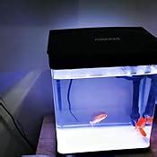 Nobleza Aquarium En Verre Avec Couvercle Et Lumi Res Led Complet