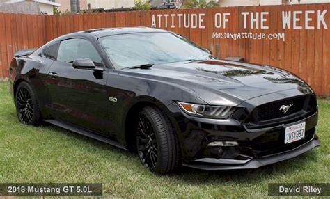 Shadow Black Ford Mustang Gt Coupe Mustangattitude Photo Detail