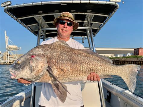 How To Go Black Drum Fishing The Complete Guide For 2024