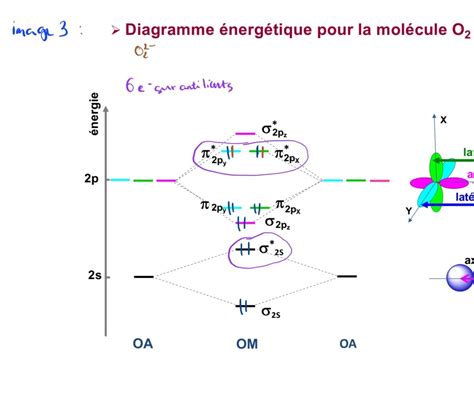 Orbital Mol Culaire Ue Chimie Tutorat Associatif Toulousain