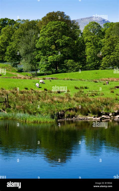 Elter Water In May The Early Spring Colours Around The Lakes Shoreline