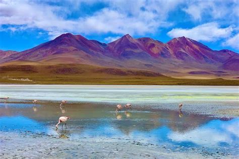 10 Best Bolivian Altiplano Tours And Trips 20222023 Tourradar