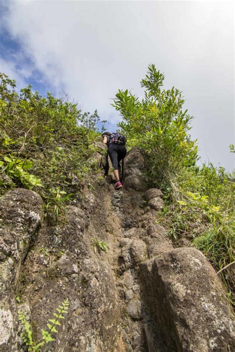 Pali Lookout Hike - A Global Stroll