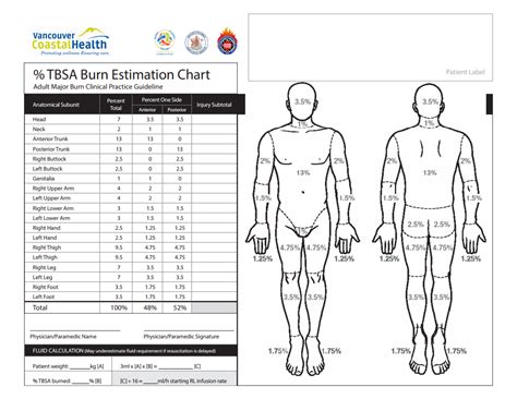 Burn Rate Chart 2024 - Dael Maudie