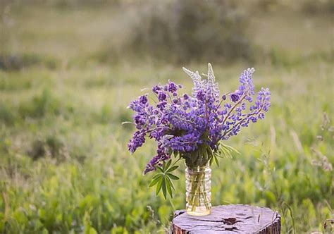 Outdoorsy Summer Bouquet Featuring Lupinus Polyphyllus Plants With