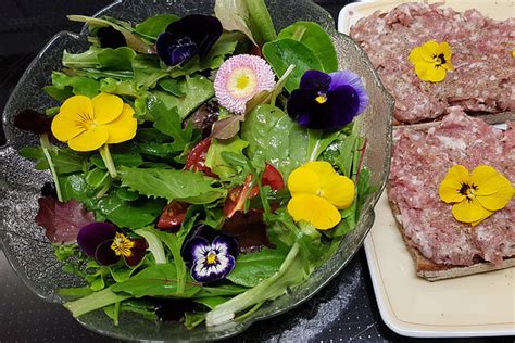 Frischer Wildkräutersalat mit Zitronen Leinöl Dressing von Windblase