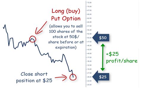 Calls And Puts In Options Trading Explained