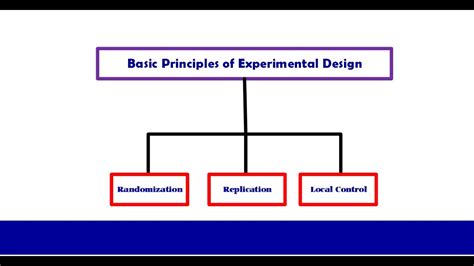 Basic Principles Of Experimental Design Ppt