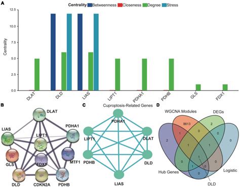 Protein Protein Interaction Ppi Network Of Cuproptosis Related Genes