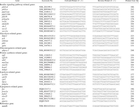 Primer Sequences Used For Quantitative Real Time Pcr Download