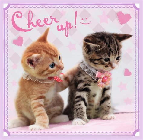 Trefl Puzzle Chatons Mignons Pi Ces Toptoy