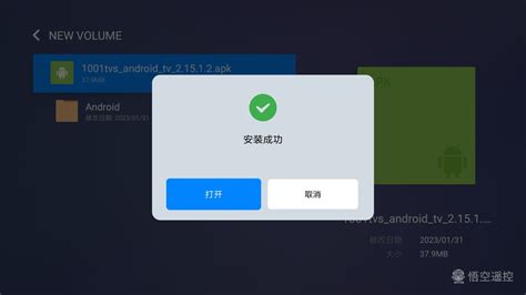 雨燕投屏 如何通过u盘在电视上安装雨燕投屏app？