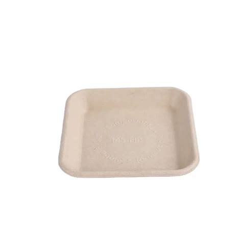 Biodegradable Sugarcane Bagasse Pulp Mould Food Fruit Meat Tray