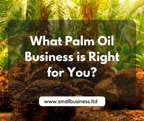 Palm Oil Business In Nigeria Is It Capital Intensive