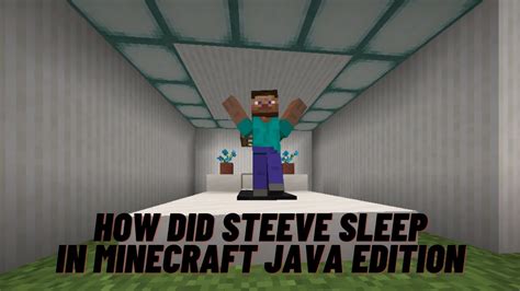 How Did Steve Sleep In Minecraft Java Edition YouTube