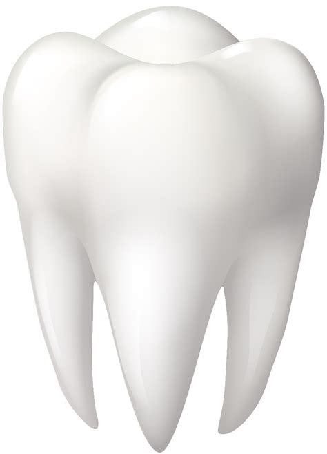 Tooth Vector Png Download Clipart Large Size Png Image Pikpng Porn