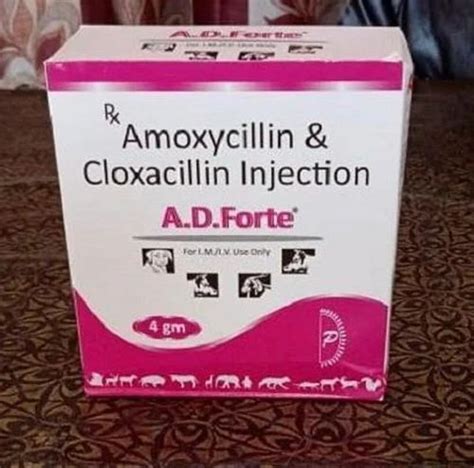 Amoxycillin Cloxacillin Injection At Rs 80 Box Amoxycillin