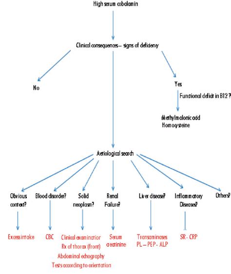 Figure 2 From The Pathophysiology Of Elevated Vitamin B12 In Clinical