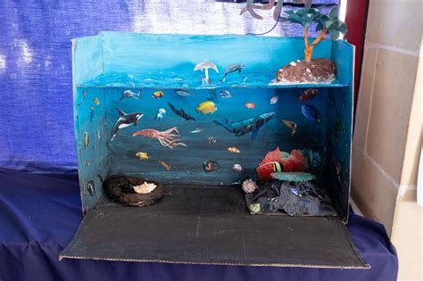 Ocean Ecosystem Project