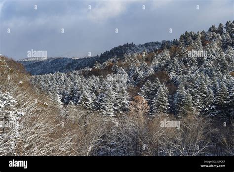 Snowy Mountainscape In Hokkaido Japan Stock Photo Alamy