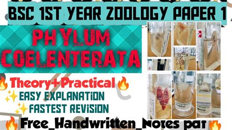 PHYLUM COELENTERATA One Shot Theory Practical Phylumcoelenterata