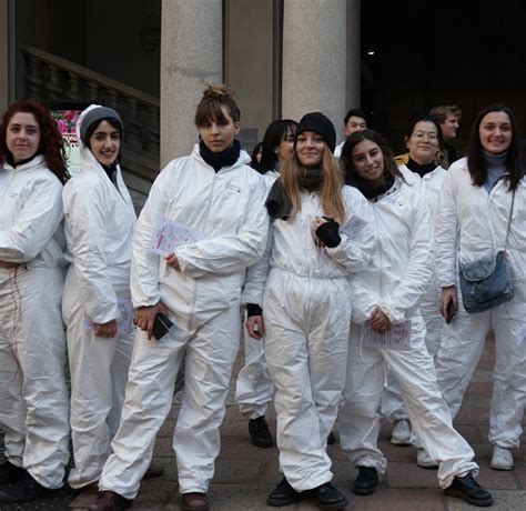 Storia | Accademia di Brera