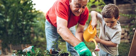 10 Tips to Make Gardening Easier for Seniors | Galleria Woods