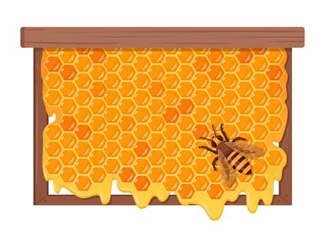 Premium Vector | Bee with honeycomb cartoon honeycomb with sweet melting honey honeycraft and ...