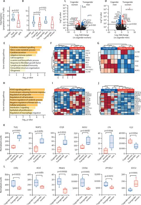 Investigating Sex Differences In T Regulatory Cells From Cisgender And