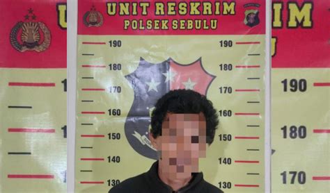 Jadi Pengedar Dan Miliki Senjata Rakitan Polisi Ringkus Buruh Sawit Di