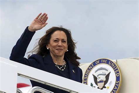 Kamala Harris Now Leads In All Major Polling Averages Newsweek