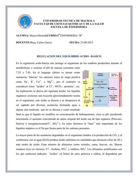 Regulacion Del Equilibrio Acido Basico Pdf