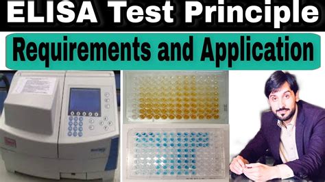 ELISA Test Elisa Principle Elisa Requirements And Application YouTube