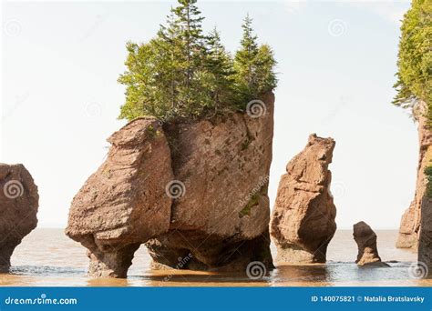 Hopewell Rocks at High Tide Stock Image - Image of landscape, tidal: 140075821