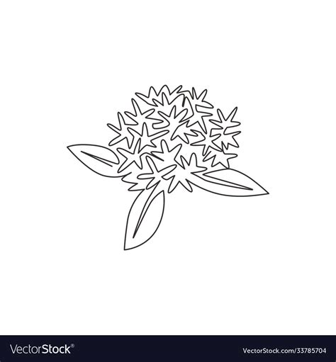 One Continuous Line Drawing Beauty Fresh Vector Image