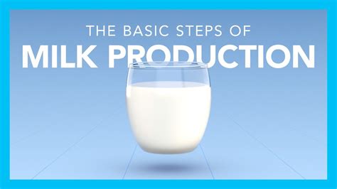 The Basic Steps Of Milk Production Youtube