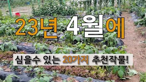 23년 4월에 심을 수 있는 20가지 추천작물 주말농장 도시텃밭 가꾸기 Youtube