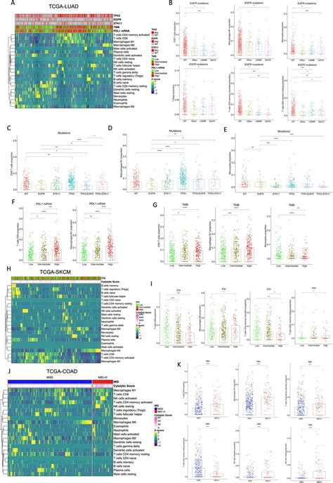 Mixture Analysis Reveals Differential Immune Infiltrate Driven By Known