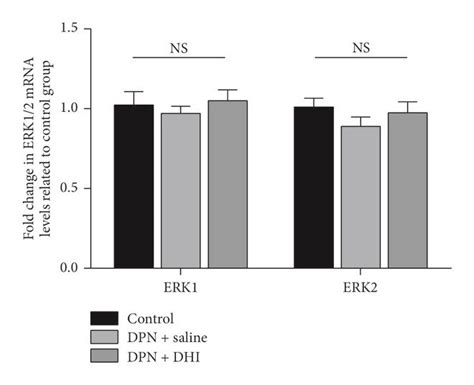 The Results Of ERK1 2 MRNA Levels In Control Group DPN Saline And