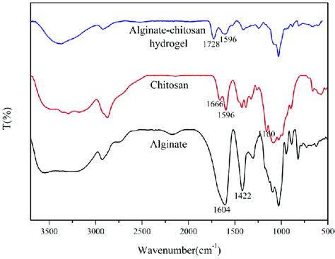 Fourier Transform Infrared Ftir Spectra Of Alginate And Chitosan And